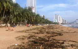 Sau bão, bãi biển Nha Trang ngập rác