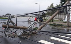 Phú Yên: Quá nhiều trụ điện bê tông bị gãy đổ bất thường trong bão