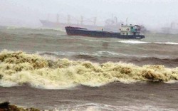 Yêu cầu công an điều tra sự cố chìm tàu lịch sử tại biển Quy Nhơn