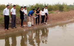 Nuôi cá an toàn thu cả trăm triệu vì không muốn mang tiếng xấu