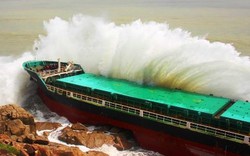 Bình Định: Ứng phó nạn tràn dầu sau sự cố 9 tàu bị chìm