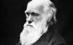 Hé lộ căn bệnh quái lạ đầy bí ẩn của nhà bác học Charles Darwin