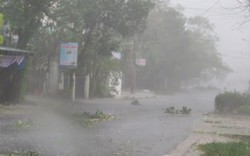 Phú Yên, Bình Định: Chính quyền và người dân bất ngờ vì dự báo bão 12