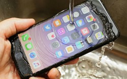 iPhone 7 vẫn là chiếc iPhone thịnh hành nhất tuần qua