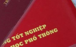 Kỷ luật chủ tịch UBND xã sử dụng bằng "dỏm"