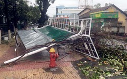 Tăng chóng mặt, 82 người chết trong bão số 12