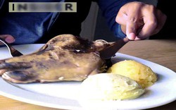 Đầu cừu, món ăn truyền thống kinh dị, kỳ quặc ở Iceland