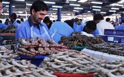 Ghé thăm chợ hải sản vừa rẻ vừa tươi ở Dubai