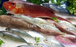 Doanh nghiệp hải sản sẽ đóng cửa nếu Việt Nam bị EU phạt "thẻ đỏ”?