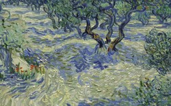 Bất ngờ tìm thấy con vật trong tranh 128 tuổi của Van Gogh