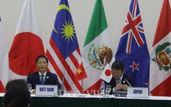 Thủ tướng Canada vắng mặt ở đàm phán TPP do "hiểu lầm lịch trình"