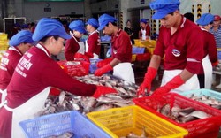 TP.HCM nhận "bao tiêu" hải sản Bình Thuận ở thị trường 10 triệu dân