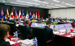 Sau đồng thuận TPP 11, Việt Nam phải cải cách triệt để thể chế