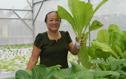 Cụ bà U70 trẻ lại chục tuổi nhờ vườn rau thủy canh đẹp như mơ