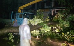 TP.HCM mưa lớn trước bão số 14, đường ngập, cây đổ