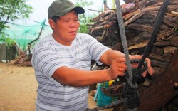 Ninh Thuận: Nhà tạm bợ "phập phồng" trước bão