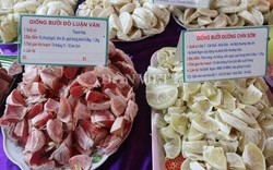 300 nông dân các tỉnh mang bưởi ngon bậc nhất về khoe sắc ở Hà Nội