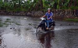 Bà Rịa-Vũng Tàu: Hàng loạt hồ chứa nước trong tình trạng báo động