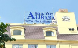 TP.HCM chỉ đạo khẩn kiếm tra hoạt động của Công ty Alibaba