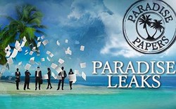 Hơn 200 đại gia Việt có tên trong Hồ sơ Paradise về rửa tiền, trốn thuế