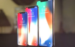 Video: Lóa mắt trước ý tưởng iPhone X Plus và iPhone XS