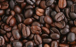 Giá cà phê hôm nay "đỏ sàn", giảm sốc 900 đồng/kg, giá tiêu khó tăng tới năm 2018