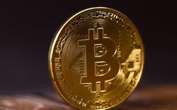 Giá Bitcoin hôm nay (23.11): Giao dịch quanh ngưỡng 8.200 USD