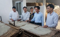 Nông dân sản xuất sạch, lợn, gà, cá, rau, quả bán chạy