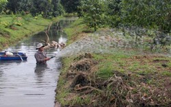 Nông thôn mới Hậu Giang: Sau 7 năm, Châu Thành A “thay da, đổi thịt”