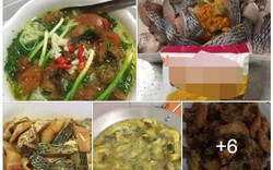 Bún cá của ông bố quốc dân và bún riêu hà mẹ nấu cho con trai hot nhất tuần