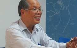 Tác giả đề xuất cải cách tiếng Việt: "Có người nói tôi rửng mỡ"