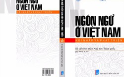 Nếu 'Tiếng Việt' thành ‘Tiếq Việt’, ‘giáo dục’ thành ‘záo zụk’?