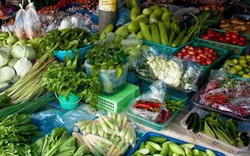 SỐC: 64% rau quả Thái Lan có dư lượng thuốc trừ sâu vượt mức?