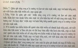 Đề xuất "Tiếq Việt” kiểu mới: “Chế nhạo là bất nhã”