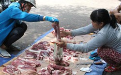 Giá heo (lợn) hôm nay 1.12: Đàn lợn Đồng Nai tăng bất thường lên 2 triệu con, các doanh nghiệp FDI sẽ "bóp chết" nông hộ