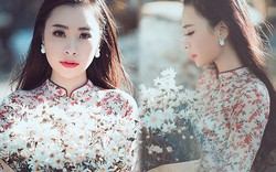 MC xinh đẹp dệt màu đông lãng mạn bằng cúc họa mi