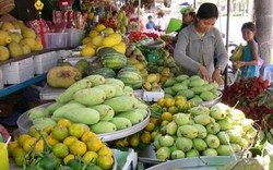 Cơ hội thu "nhân dân tệ" từ hoa quả và nông sản Việt xuất sang TQ
