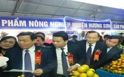 Phó Thủ tướng Vương Đình Huệ tham quan "Đêm hội cam tại Hà Tĩnh"
