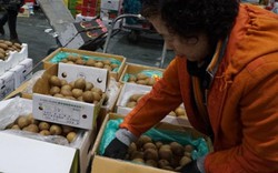 Đi chợ đấu giá rau, khoai, dâu tây ở xứ Hàn giữa trời âm 4 độ C