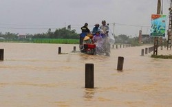 Thủ phủ làng mai miền Trung "dầm mình" trong lũ, lo vụ tết thất thu