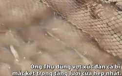 Giăng lưới zích zắc bắt cá ở cửa biển Vũng Tàu