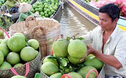 Hợp tác đưa nông sản thơm ngon nhất của Vĩnh Long về Thủ đô