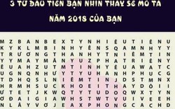 Trắc nghiệm: Năm 2018 của bạn qua 3 từ đầu tiên