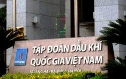 Chính phủ sẽ ban hành Quy chế Quản lý tài chính PVN