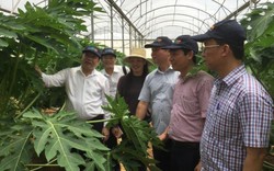 Hợp tác đưa công nghệ tưới Israel đến nông dân Việt Nam