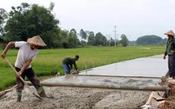 Liễn Sơn phấn đấu về đích đúng hẹn