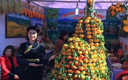 Lần đầu tiên tổ chức Ngày hội "Quýt vàng Lạng Sơn"