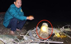 Quả bom dài hơn một mét bên bờ sông Lam