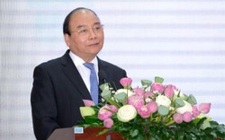 Thủ tướng: Đưa ngành rau củ quả Việt Nam xứng với tiềm năng