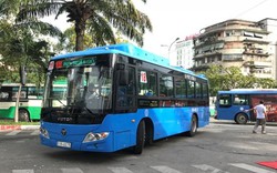 TP.HCM: “Thay máu” xe buýt, hành khách tăng trở lại